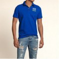 /products/polo-hollister/